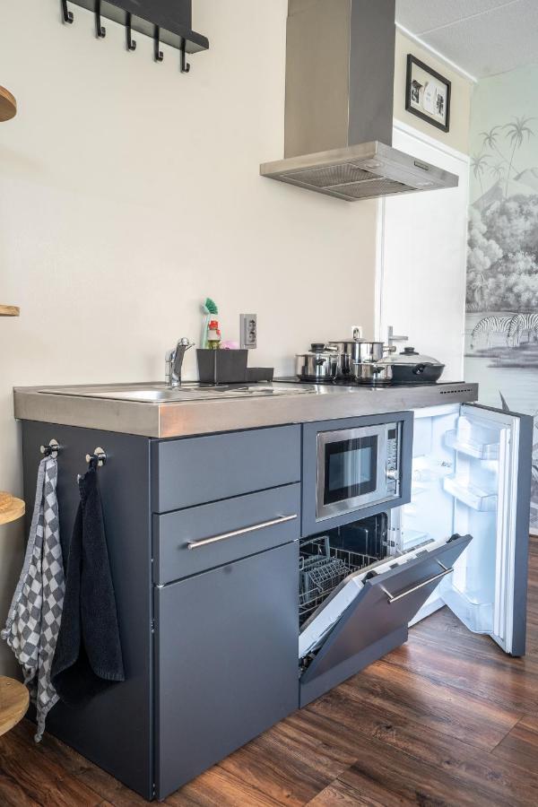 The Lion King - 6 Person Linked Apartment With Roof Terrace Groningen Buitenkant foto